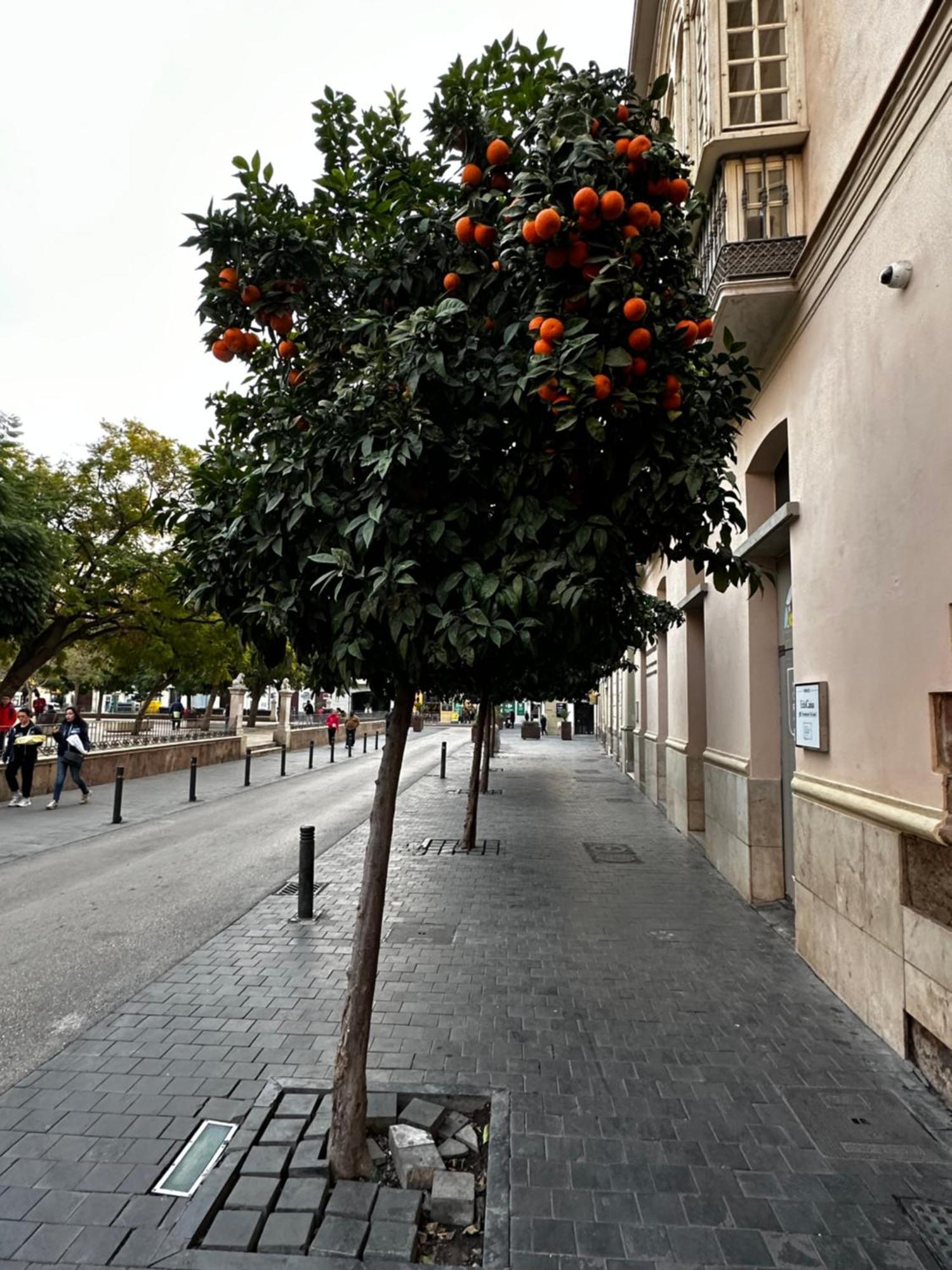 Malaga'S Secret Apartment Exterior foto